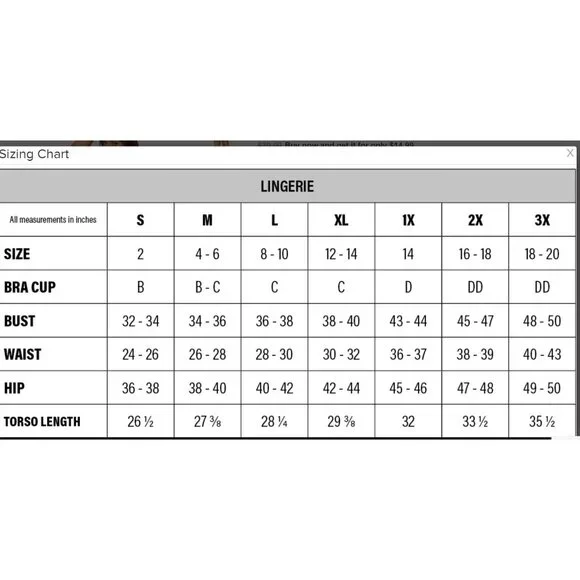 FORPLAY Caught Up Fishnet Bra‎ and Panty with Garter Straps & zippers- Black - Picture 3 of 3